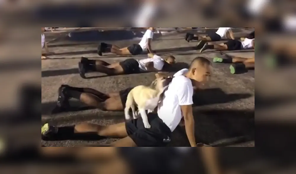 Desliza hacia la izquierda para ver más del video viral. Fotocaptura. YouTube