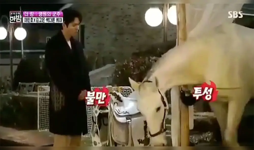 Desliza para ver más fotos de Lee Min Ho y el caballo Maximus de The king: Eternal monarch. Desliza para ver más fotos de Lee Min Ho y el caballo Maximus de The king: Eternal monarch.