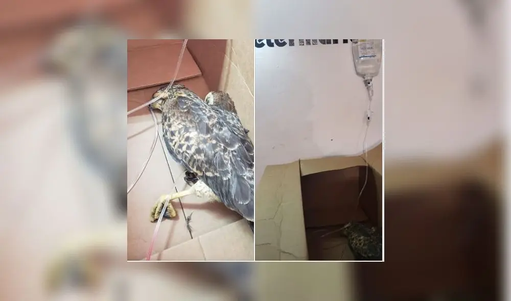 Foto: Facebook de Oswaldo Rentería