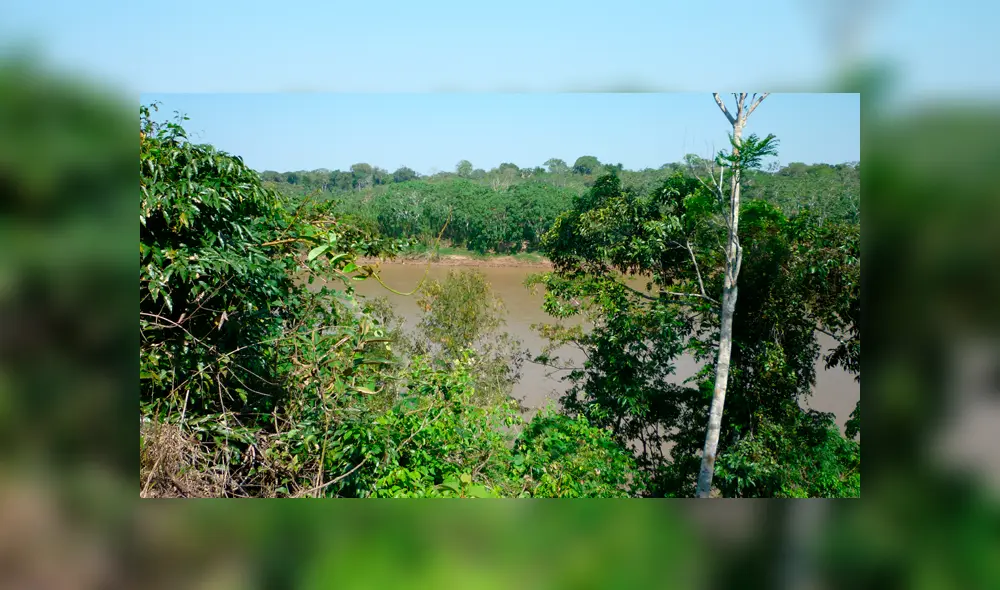 Selva Peruana: ¿Cuáles son los lugares turísticos obligados para todo amante de la aventura? Selva Peruana: ¿Cuáles son los lugares turísticos obligados para todo amante de la aventura?