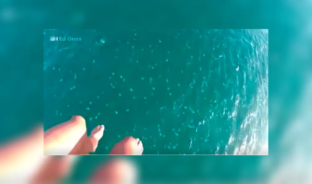 El video viral de Facebook muestra el momento en que los turistas se toparon con las venenosas criaturas que estaban dentro del mar.