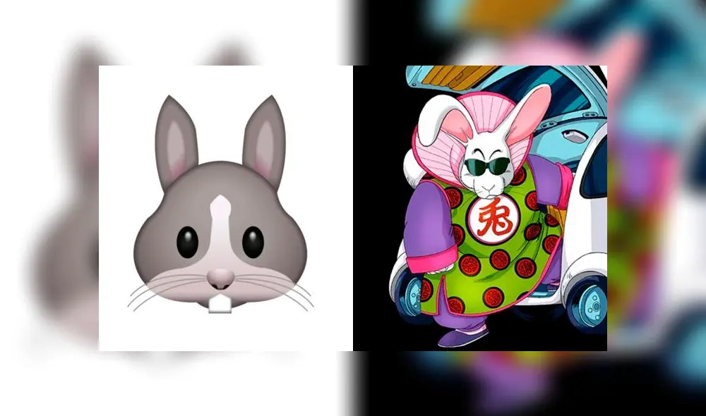 'Jefe Conejo' 'Jefe Conejo'