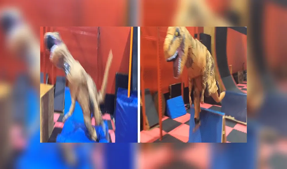 YouTube viral: dinosaurio que practica parkour se vuelve una celebridad en redes [VIDEO]