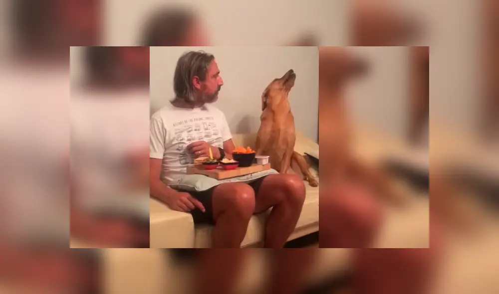 El can hizo reír a miles con su orgullosa conducta para evitar que su dueño se dé cuenta de que quería un bocado El can hizo reír a miles con su orgullosa conducta para evitar que su dueño se dé cuenta de que quería un bocado