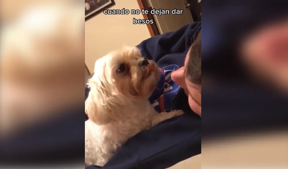 Desliza hacia la izquierda para ver las imágenes del viral. Foto: captura de Facebook.