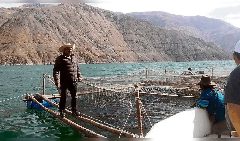 Alcalde del distrito tacneño Quilahuani postula a un distrito de Puno 