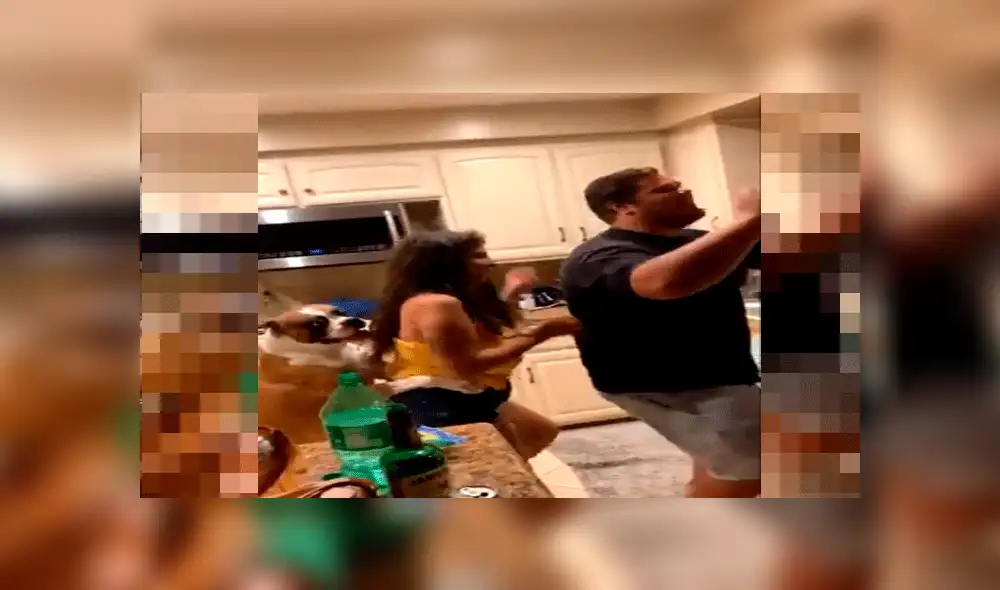 Tren canino Tren canino