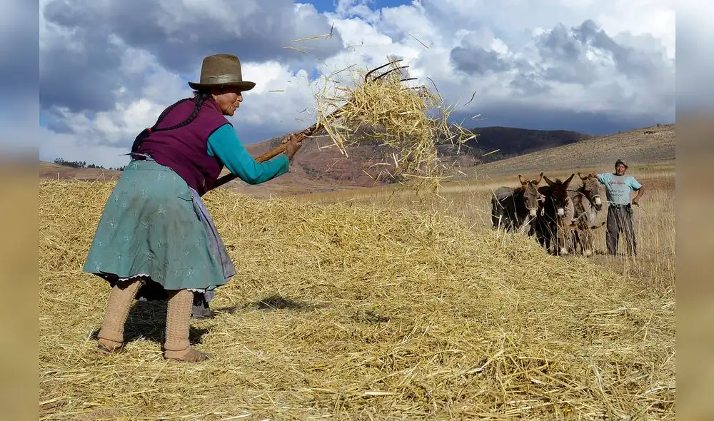 CGTP pide al presidente no caer en el lobby de agroexportadoras