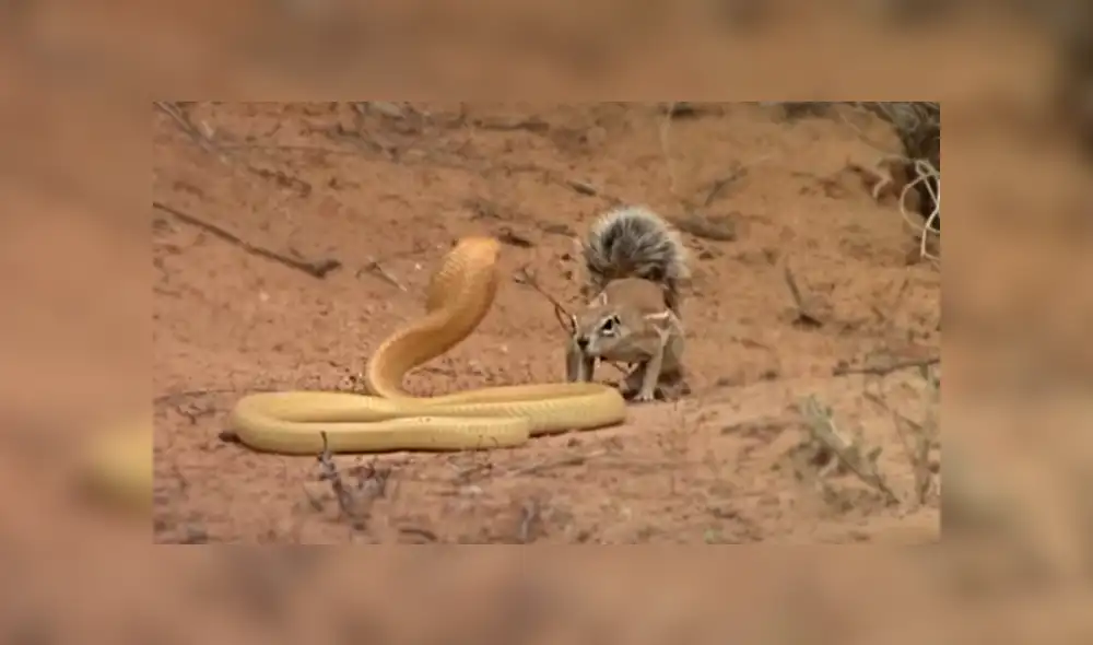 Desliza para ver las imágenes de Facebook. Foto: captura