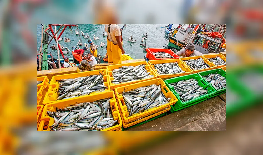 Perú es el país de la región que menos protege su territorio marítimo