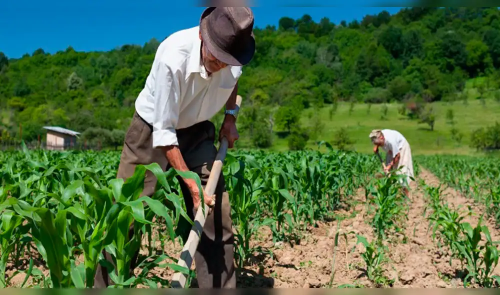 Agricultores se encuentra preocupados por su producción.