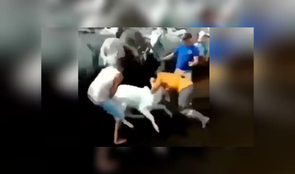 Facebook viral: Granjero usa ‘llave’ para derrotar a chivo, pero amigo lo venga y sucede lo peor [VIDEO] 