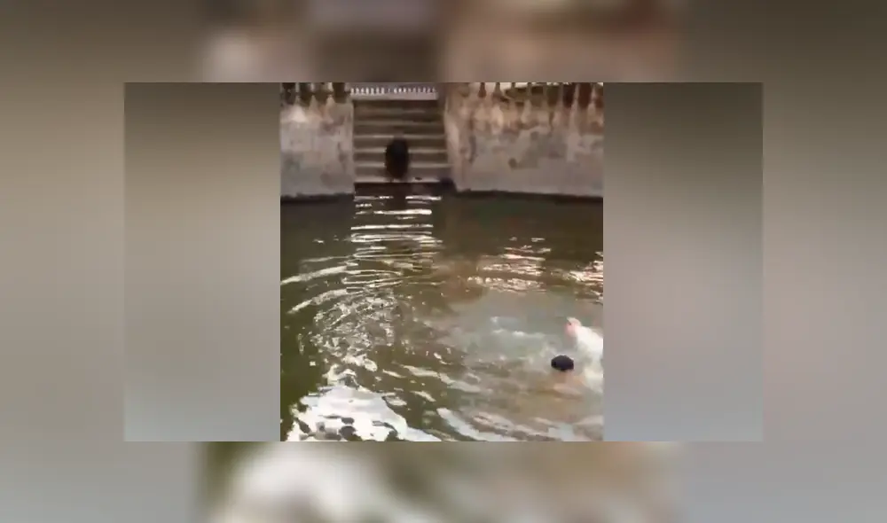 Desliza para ver los momentos más impactantes del video que se hizo viral en Facebook. Desliza para ver los momentos más impactantes del video que se hizo viral en Facebook.