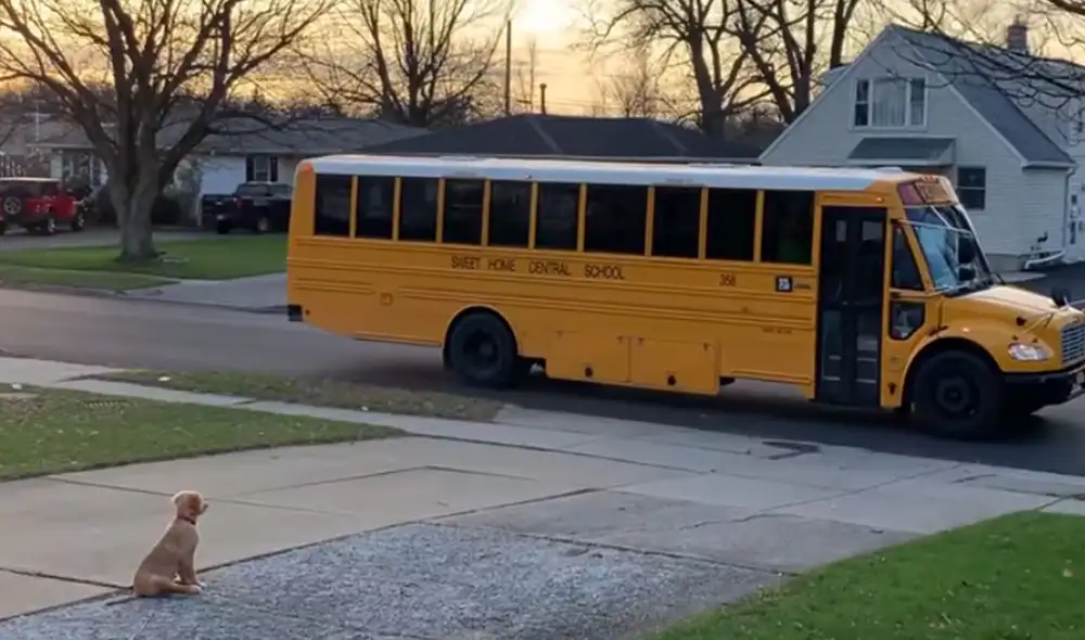 Desliza hacia la izquierda para ver más imágenes sobre esta conmovedora escena que es viral en redes sociales. Foto: captura de Facebook Desliza hacia la izquierda para ver más imágenes sobre esta conmovedora escena que es viral en redes sociales. Foto: captura de Facebook