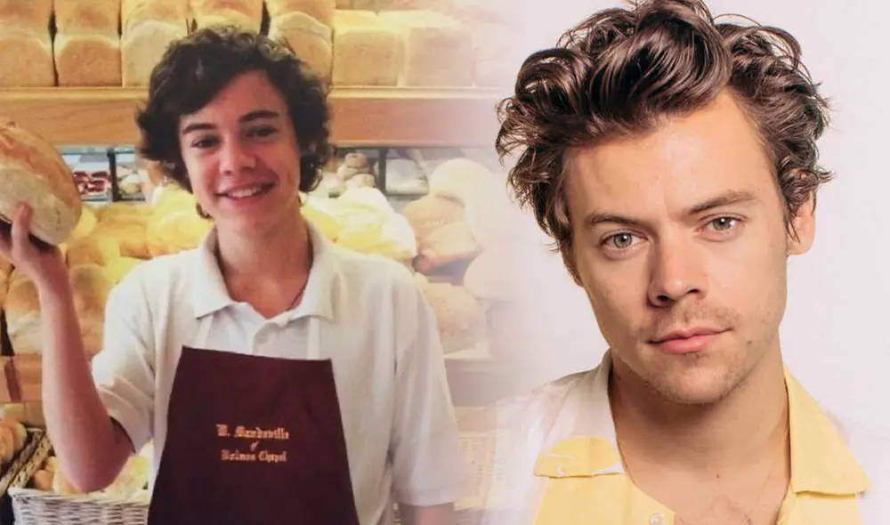 Harry Styles tiene 28 años de edad y es considerado el joven más rico del Reino Unido. Foto: composición LR/NPR/@Gryfflwt/Twitter