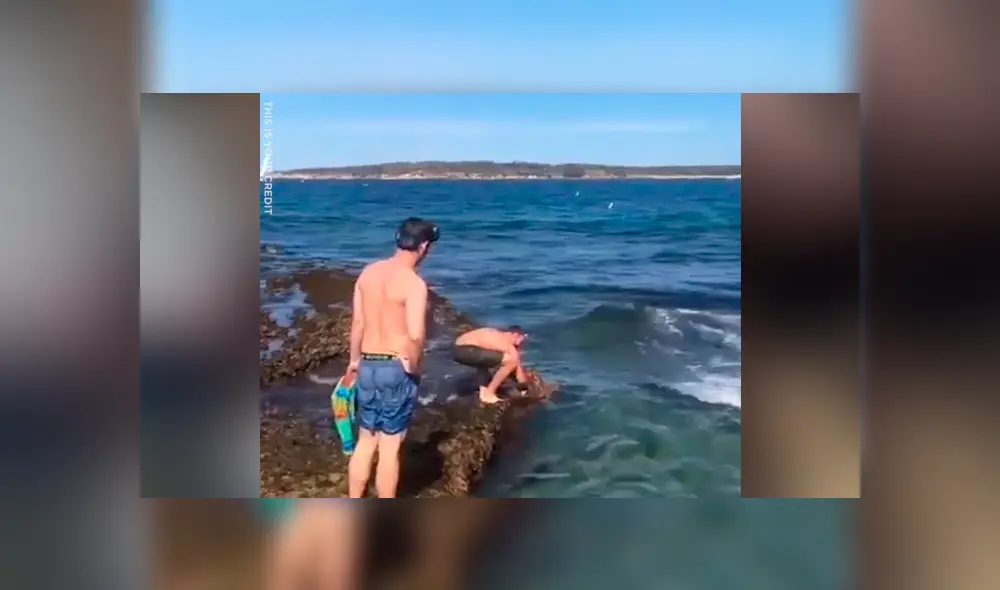 Jóvenes encuentran a tiburón atrapada entre dos piedras, la ayudan y calman su dolor [VIDEO] 