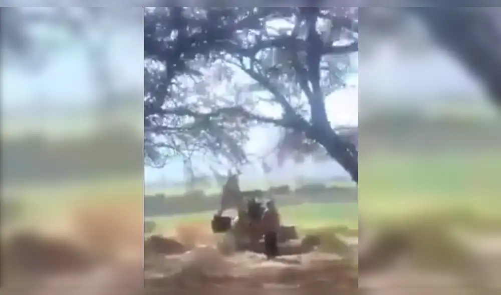 un grupo de personas aprovecha el estado de emergencia para ampliar chacras y realizar plantaciones un grupo de personas aprovecha el estado de emergencia para ampliar chacras y realizar plantaciones