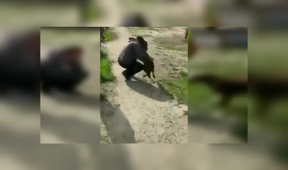 Desliza para ver los detalles del video viral publicado en YouTube. Foto: Captura. Desliza para ver los detalles del video viral publicado en YouTube. Foto: Captura.