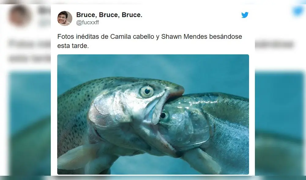 Hilarantes memes tras los apasionados besos de Camila Cabello y Shawn Mendes