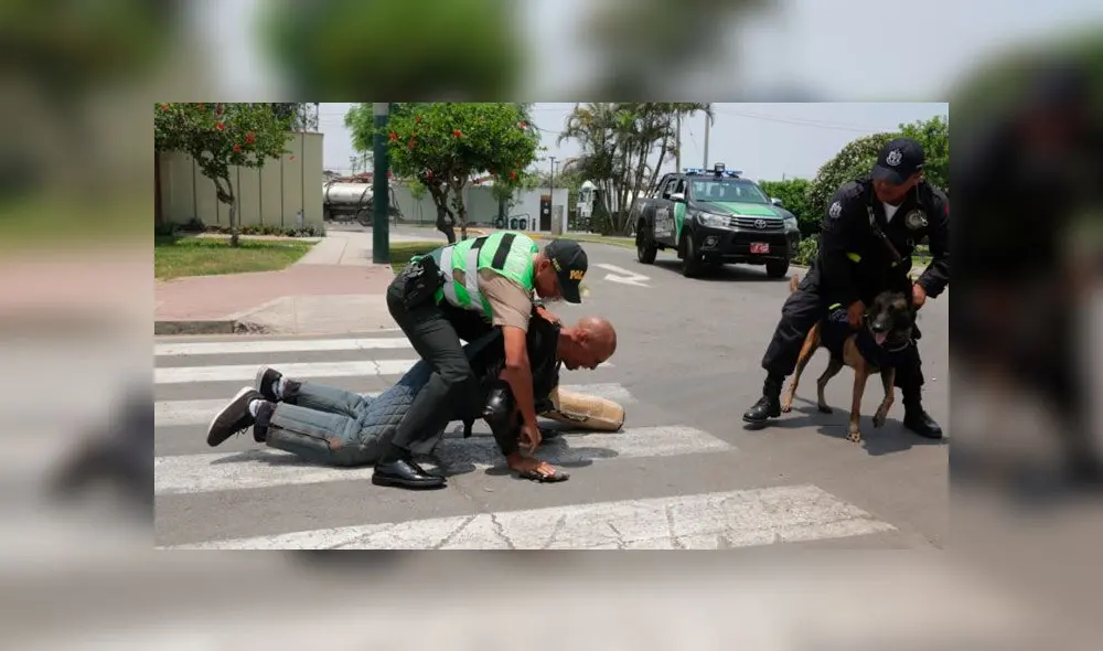 San Isidro: municipio entrenó a 18 perros para frustrar asaltos en motos lineales