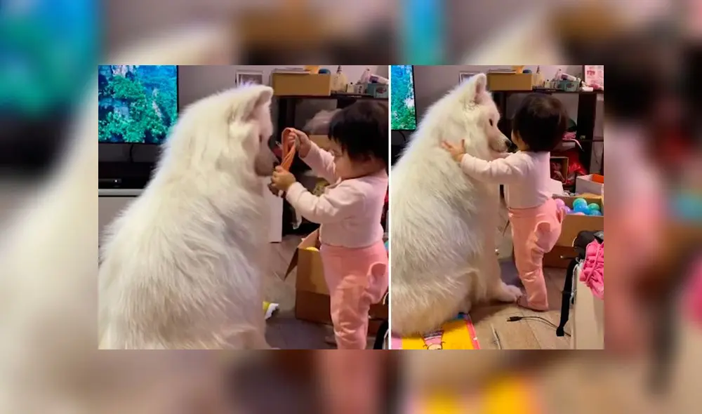 Desliza las imágenes para ver la emotiva escena que registró una madre entre su bebé y su mascota. Foto: Viral Press