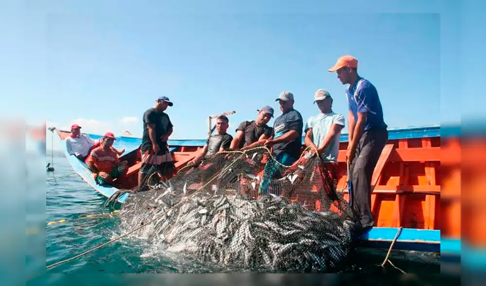 Pescadores podrán disponer de este beneficio hasta el 30 de junio del presente año. Pescadores podrán disponer de este beneficio hasta el 30 de junio del presente año.