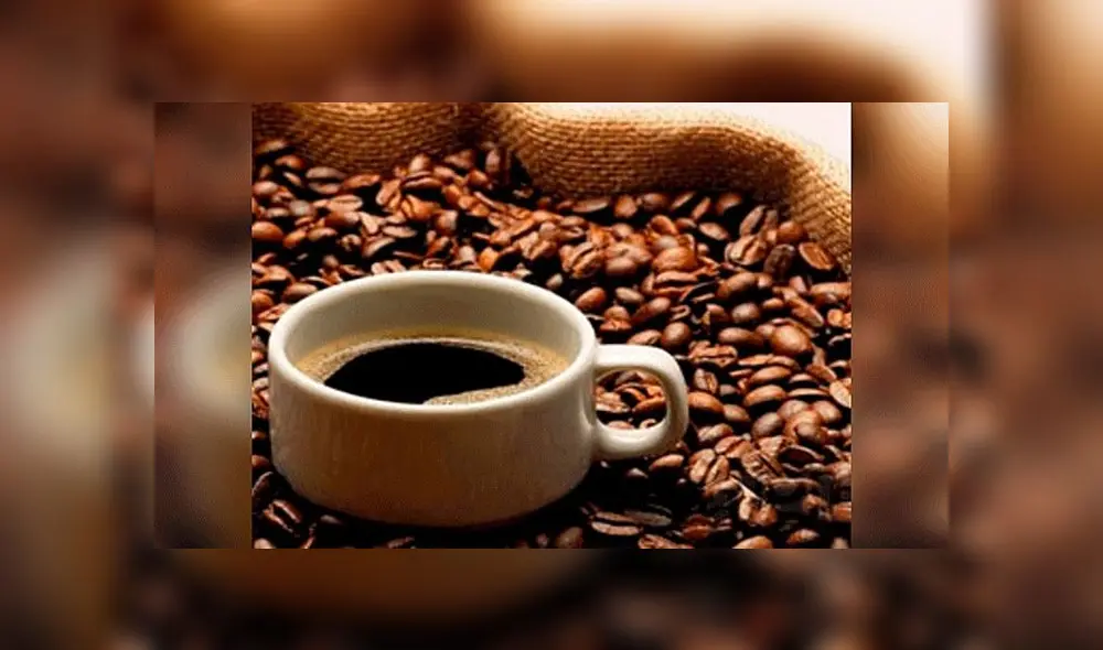 Puno: Producción de café orgánico en Sandia cayó en los últimos 10 años Puno: Producción de café orgánico en Sandia cayó en los últimos 10 años