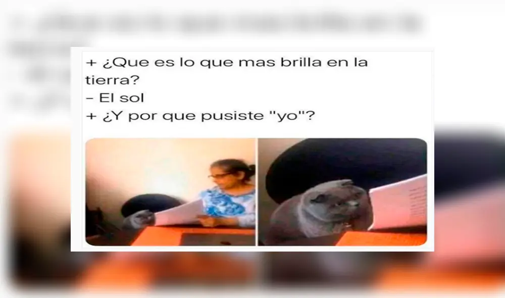 Desliza para ver los mejores memes del 2019 que fueron compartidos en Facebook y otras redes sociales. Foto: captura