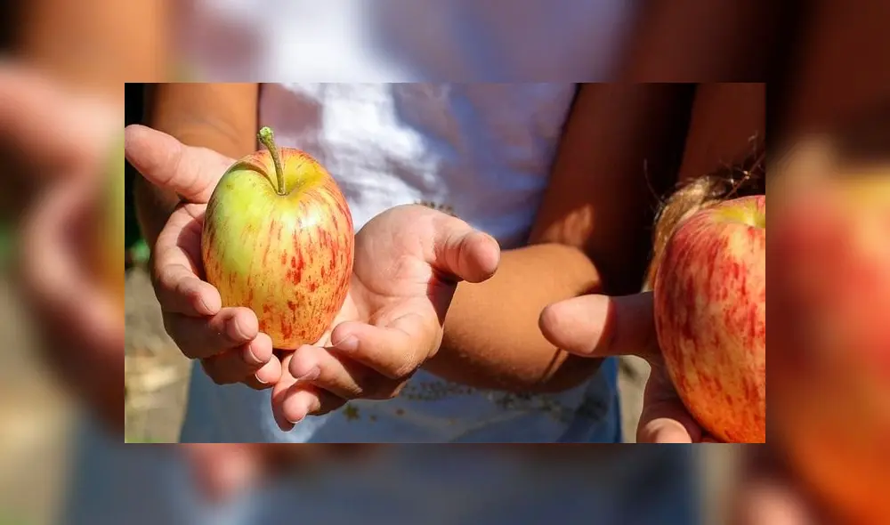 El bono de alimentación escolar que no se redimió en abril será reprogramado para el mes de mayo. (Foto: Difusión)