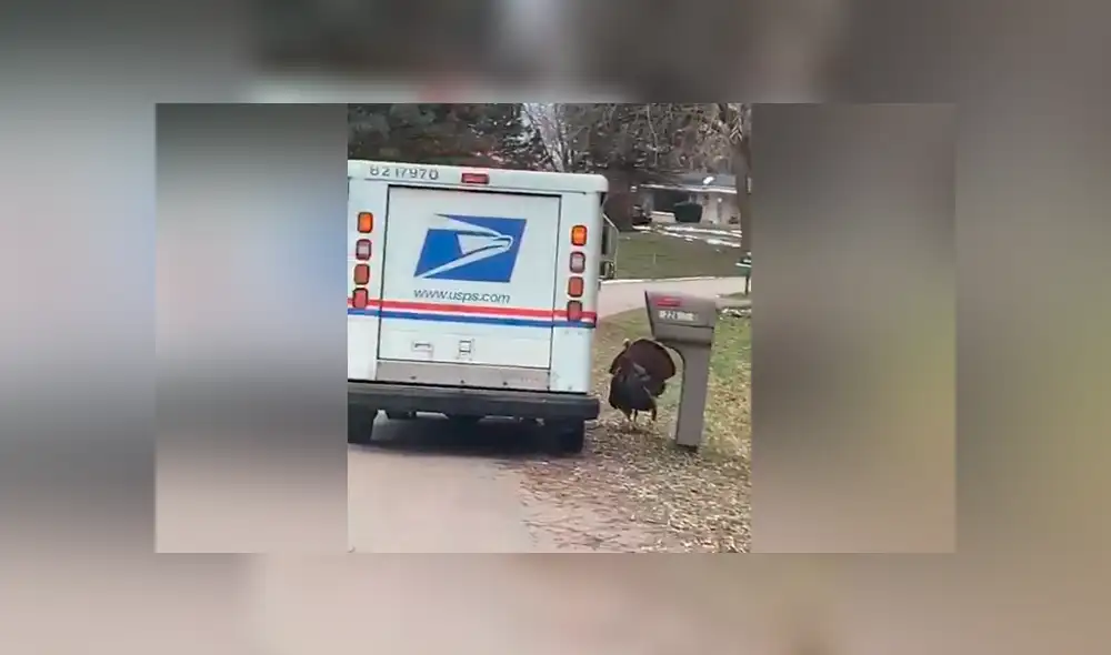 Desliza para ver los momentos más divertidos del video que se hizo viral en Facebook.