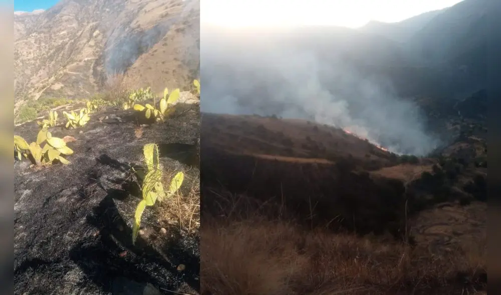 Incendios forestales dejan tres muertos en Cusco y Apurímac