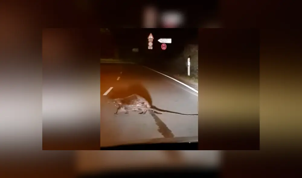 Desliza para ver los momentos más impactantes del video que se hizo viral en Facebook. Desliza para ver los momentos más impactantes del video que se hizo viral en Facebook.