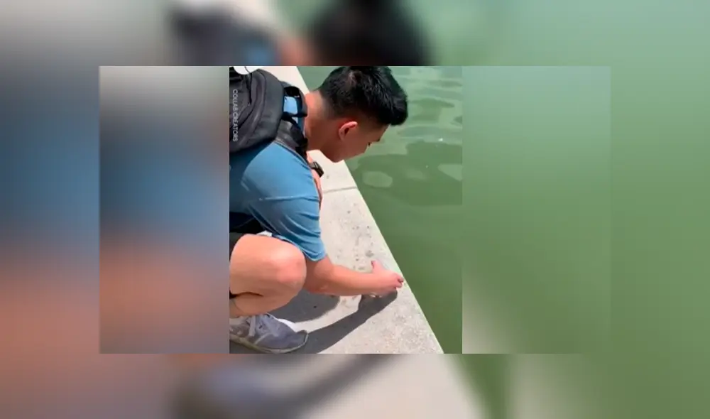 Desliza para ver los momentos más impactantes del video que se hizo viral en Facebook.