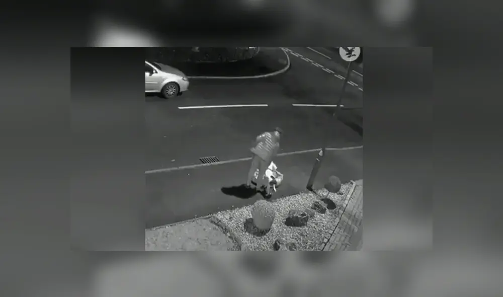 Desliza hacia la izquierda para ver el trágico momento en que un joven abandona a su mascota y se viraliza en YouTube.