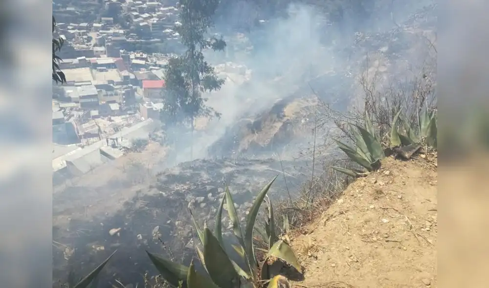 Pasco: en una semana, ocho incendios forestales afectan 29 hectáreas