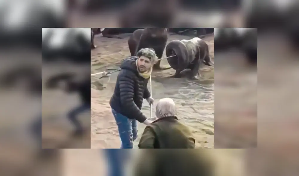 En YouTube, un joven acudió a una alejada playa y se percató del peligro que corría un indefenso lobo marino. En YouTube, un joven acudió a una alejada playa y se percató del peligro que corría un indefenso lobo marino.