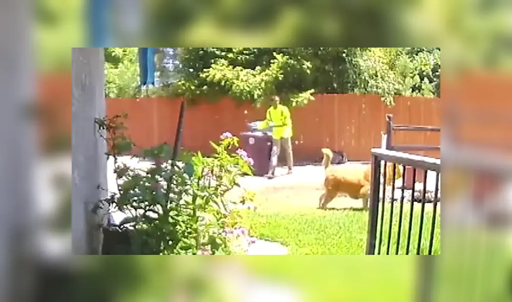 El can logró llamar la atención de un hombre para que pudiera a ayudar a su dueña. Foto: Captura / KTLA 5