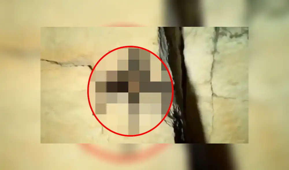 Facebook viral: Chico madruga para ir al baño y se topa con peligrosa criatura que lo quería atacar [VIDEO] 