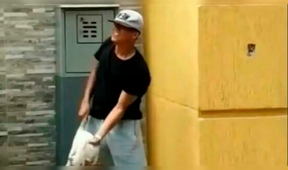 Impactantes imágenes de maltrato animal por el que suspenden a futbolistas venezolanos Impactantes imágenes de maltrato animal por el que suspenden a futbolistas venezolanos