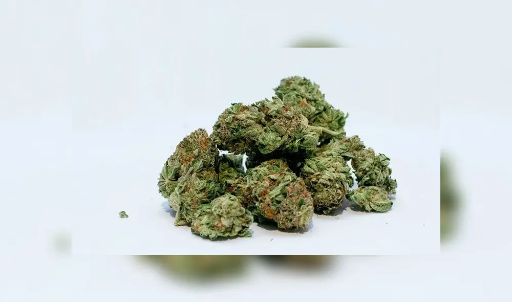 Los compradores estuvieron esperando el kilo de marihuana. (Fuente: Pixabay) Los compradores estuvieron esperando el kilo de marihuana. (Fuente: Pixabay)