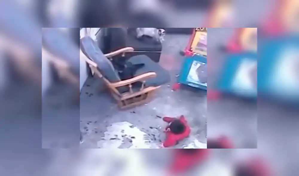 Video es viral en YouTube. Mujer quedó sorprendida cuando revisó las imágenes de la cámara de seguridad y vio el insólito suceso