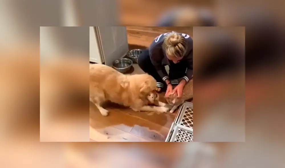 Desliza para ver los momentos más divertidos del video que se hizo viral en YouTube. Desliza para ver los momentos más divertidos del video que se hizo viral en YouTube.