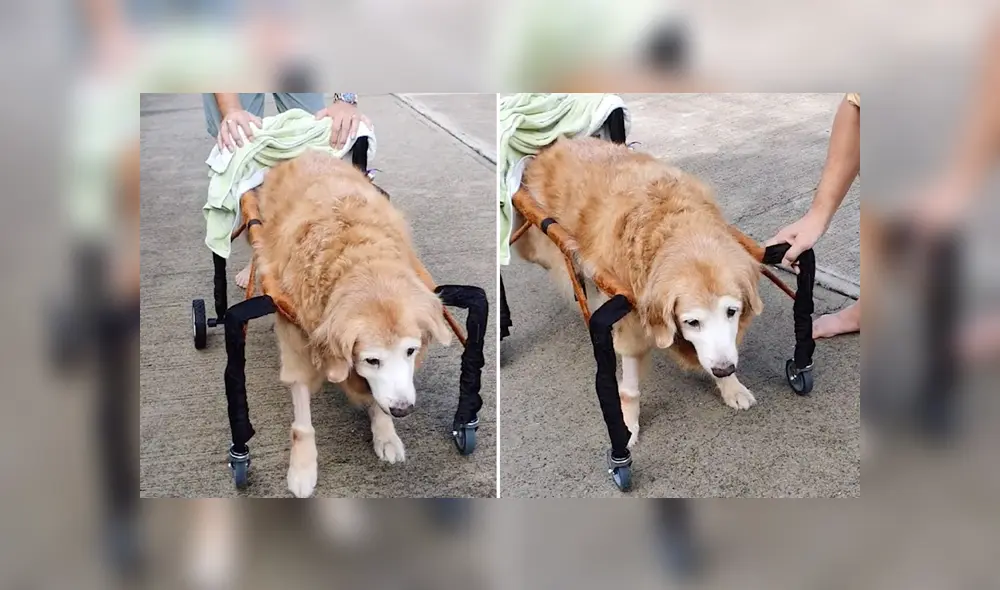 Desliza para ver los detalles del video viral publicado en YouTube. Foto: Captura.