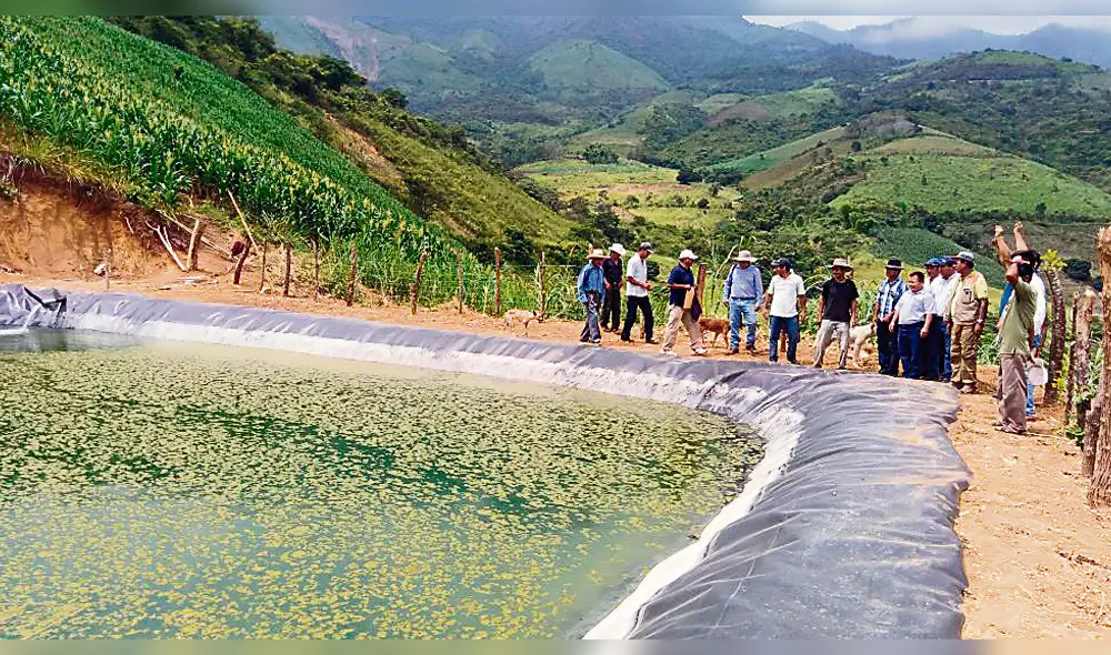 Las cochas: una práctica incaica para almacenar agua en la sierra piurana