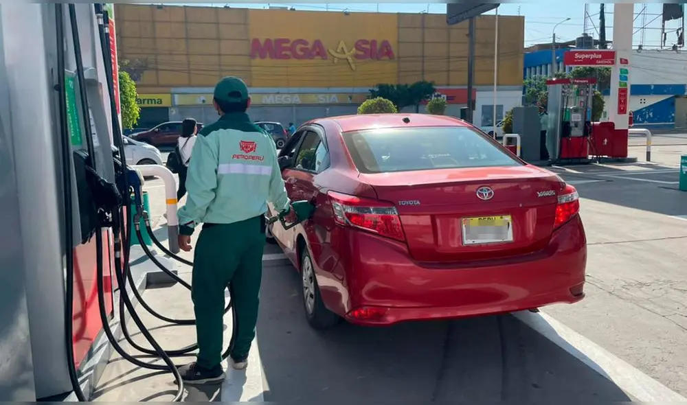 . Foto: R. Quincho/URPI-LR