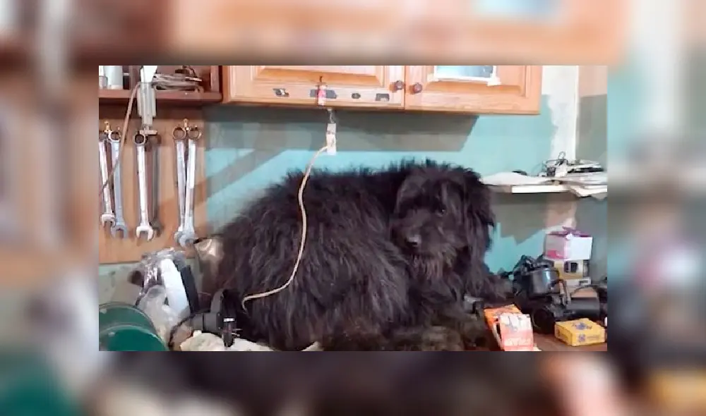 Desliza hacia la izquierda para ver más imágenes de esta historia que es viral en Facebook. Desliza hacia la izquierda para ver más imágenes de esta historia que es viral en Facebook.