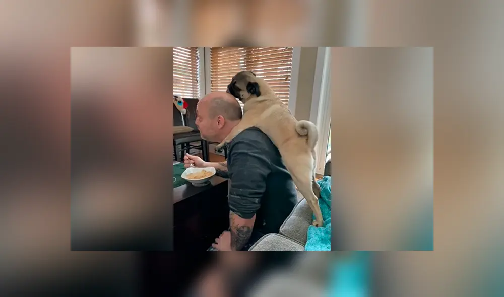 YouTube viral: su padre no quería perros en casa y ella lo descubre en una tierna escena con su mascota