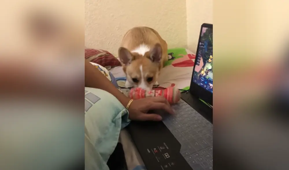 Desliza hacia la izquierda para ver las imágenes del video viral. Foto: Captura de Facebook. Desliza hacia la izquierda para ver las imágenes del video viral. Foto: Captura de Facebook.