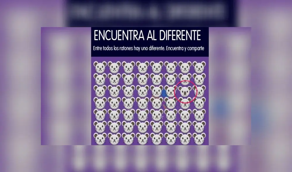 Desliza las imágenes para ver la ubicación exacta del travieso koala oculto entre ratones. Foto: Facebook Desliza las imágenes para ver la ubicación exacta del travieso koala oculto entre ratones. Foto: Facebook