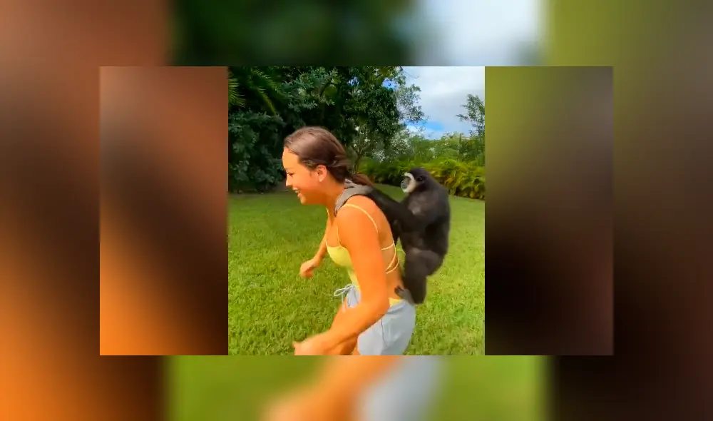 La emotiva reacción del mono ha conmovido a varios usuarios de TikTok. Foto: captura